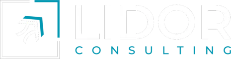 Lidor Consulting